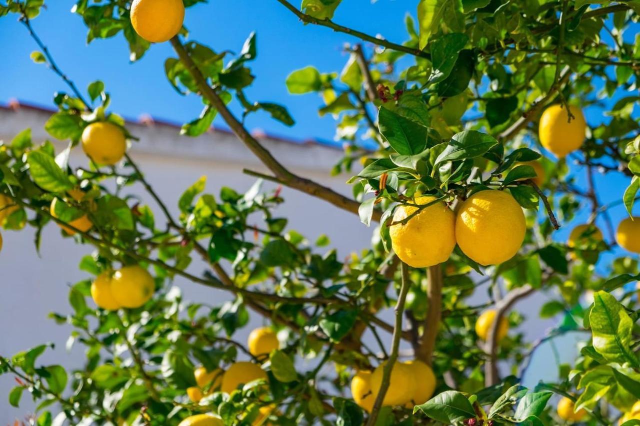 Villa Riu Altaret Denia Kültér fotó