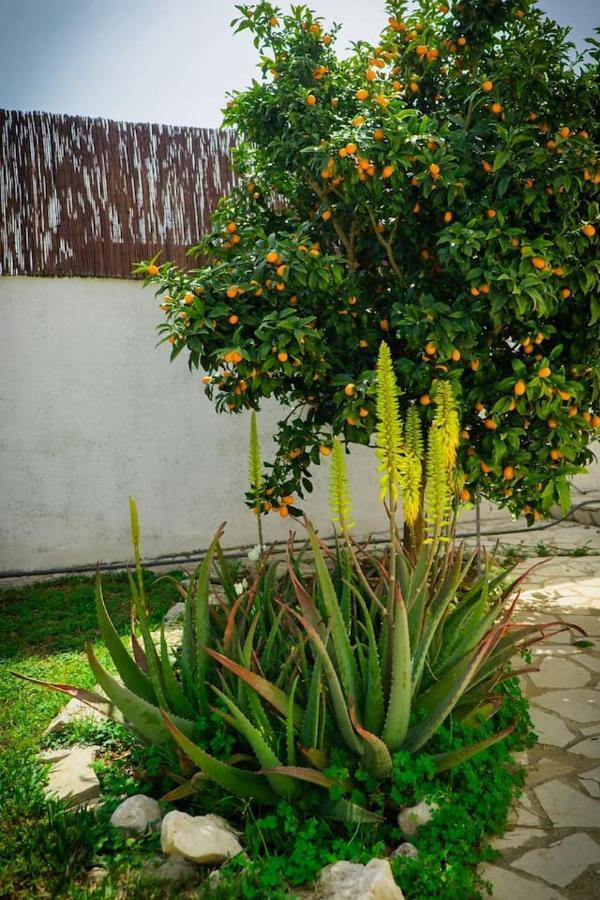 Villa Riu Altaret Denia Kültér fotó